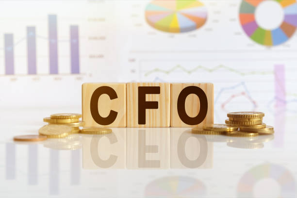 Bridging the Gap: How Fractional CFOs Can Help Microcaps with Their Unique Challenges