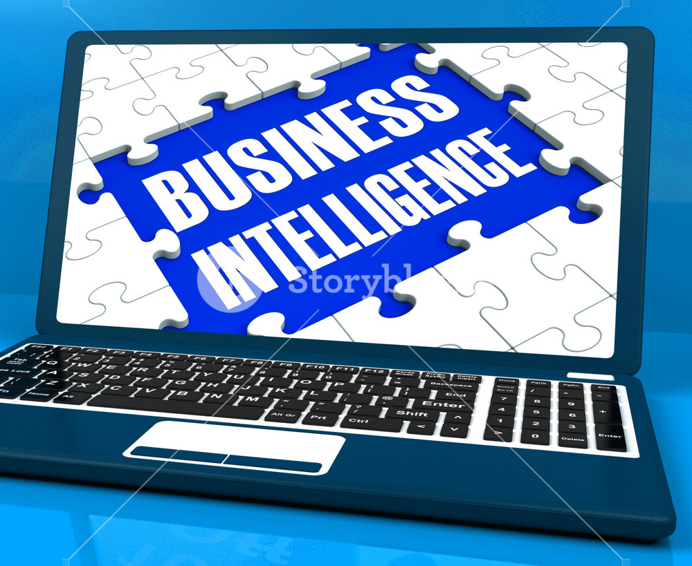 Business Intelligence Systems